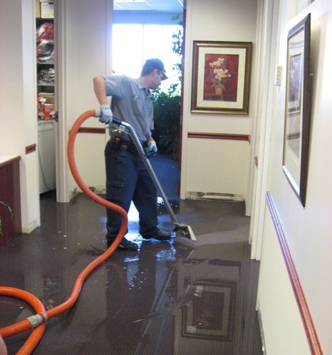 water restoration clean up Torrance, CA